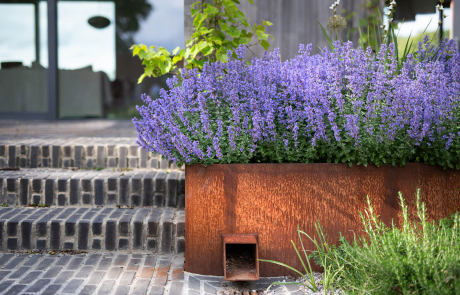 Ridge Way Garden Project