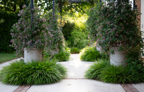 An Oxfordshire Garden - Project finished