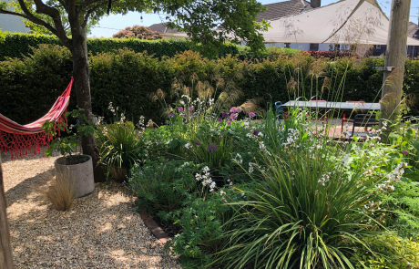 A Small Dorset Garden