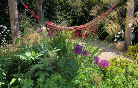 A Small Dorset Garden