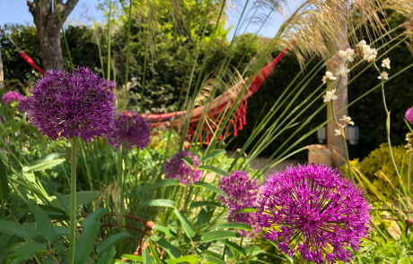 A Small Dorset Garden