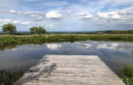 Ridge Way Garden Project