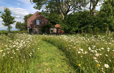 Ridge Way Garden Project